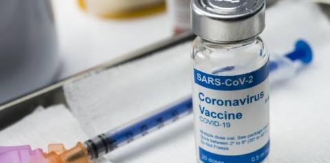 Anvisa autoriza uso emergencial das vacinas Coronovac e de Oxford 