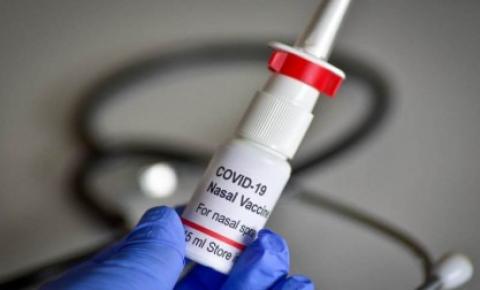 Covid-19: vacina em forma de spray nasal pode estar disponível até 2022