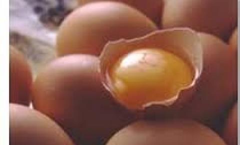 Ovos à Escoffier: Receitas simples, mas requer atenção