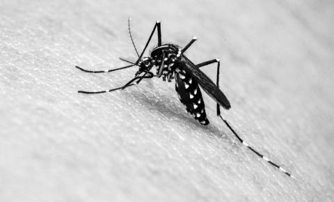 Adolescente de 15 anos morre por dengue tipo 2 em Hortolândia